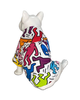 BALP Designed Colourful Sweatshirt Hoodie for Dogs and Cats