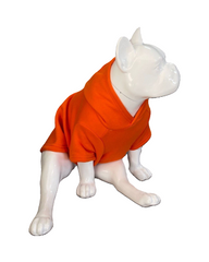 BALP Designed Orange Sweatshirt Hoodie for Dogs and Cats