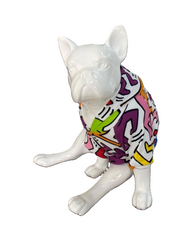 BALP Designed Colourful Sweatshirt Hoodie for Dogs and Cats