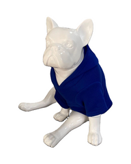 BALP Designed Sax Blue Sweatshirt Hoodie for Dogs and Cats