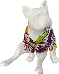 BALP Designed Colourful Sweatshirt Hoodie for Dogs and Cats