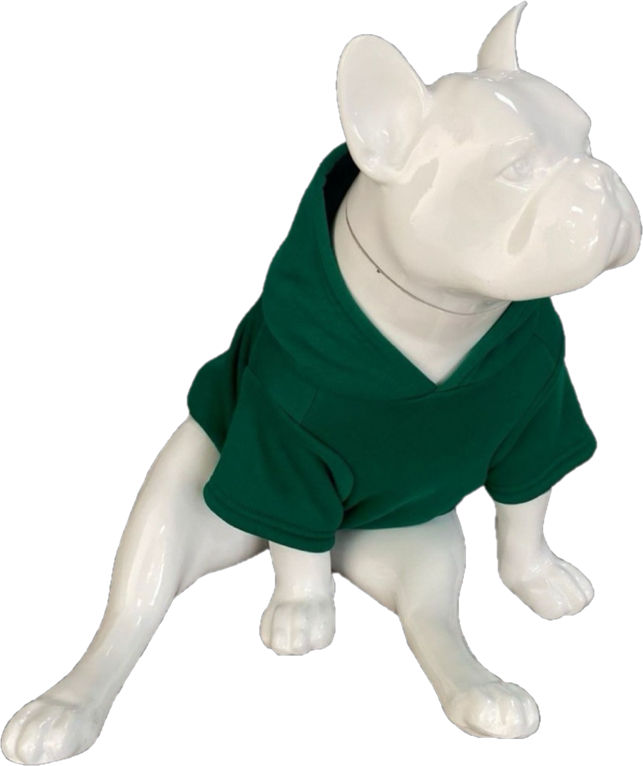 BALP Designed Green Sweatshirt Hoodie for Dogs and Cats