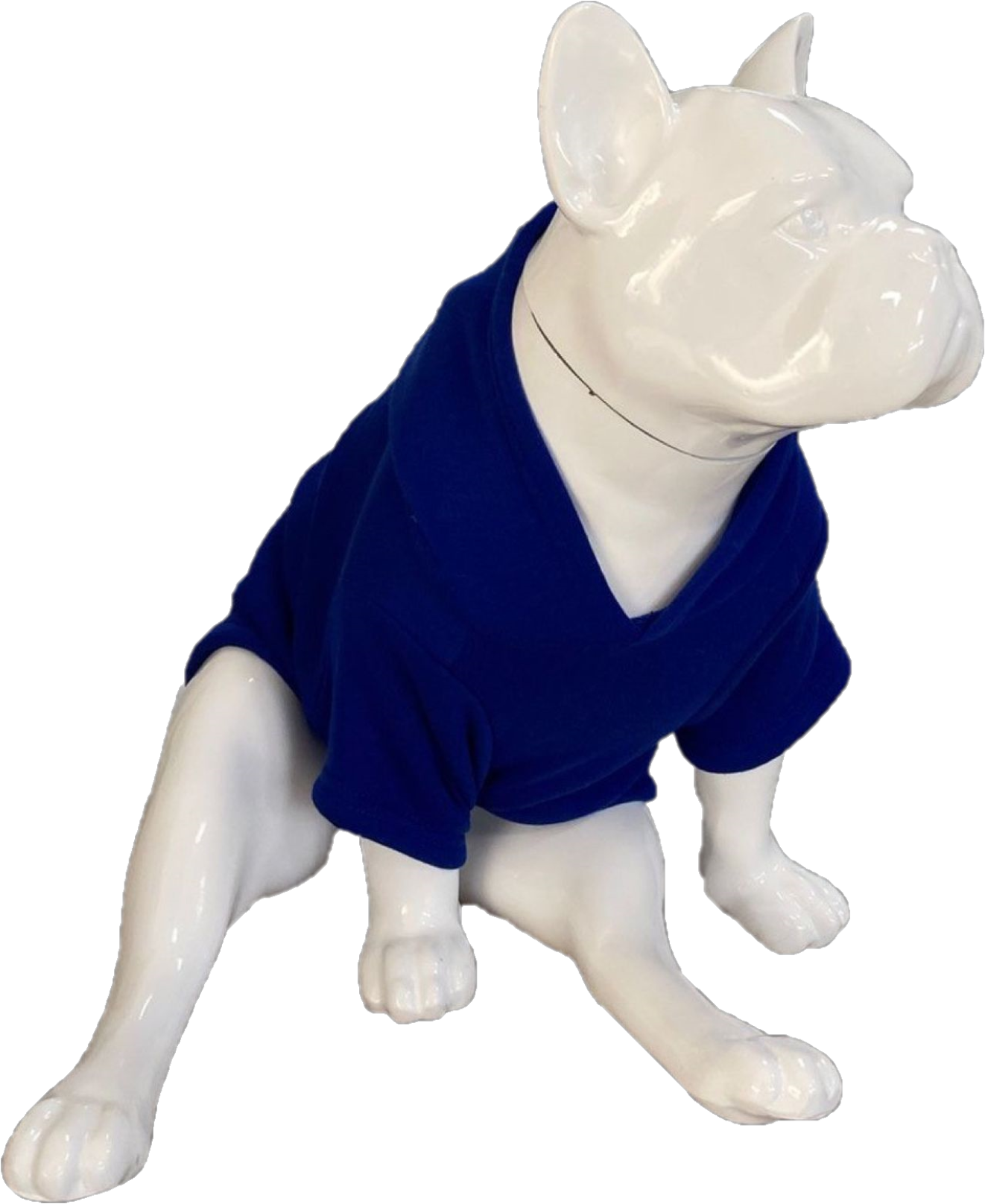 BALP Designed Sax Blue Sweatshirt Hoodie for Dogs and Cats