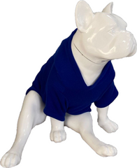 BALP Designed Sax Blue Sweatshirt Hoodie for Dogs and Cats