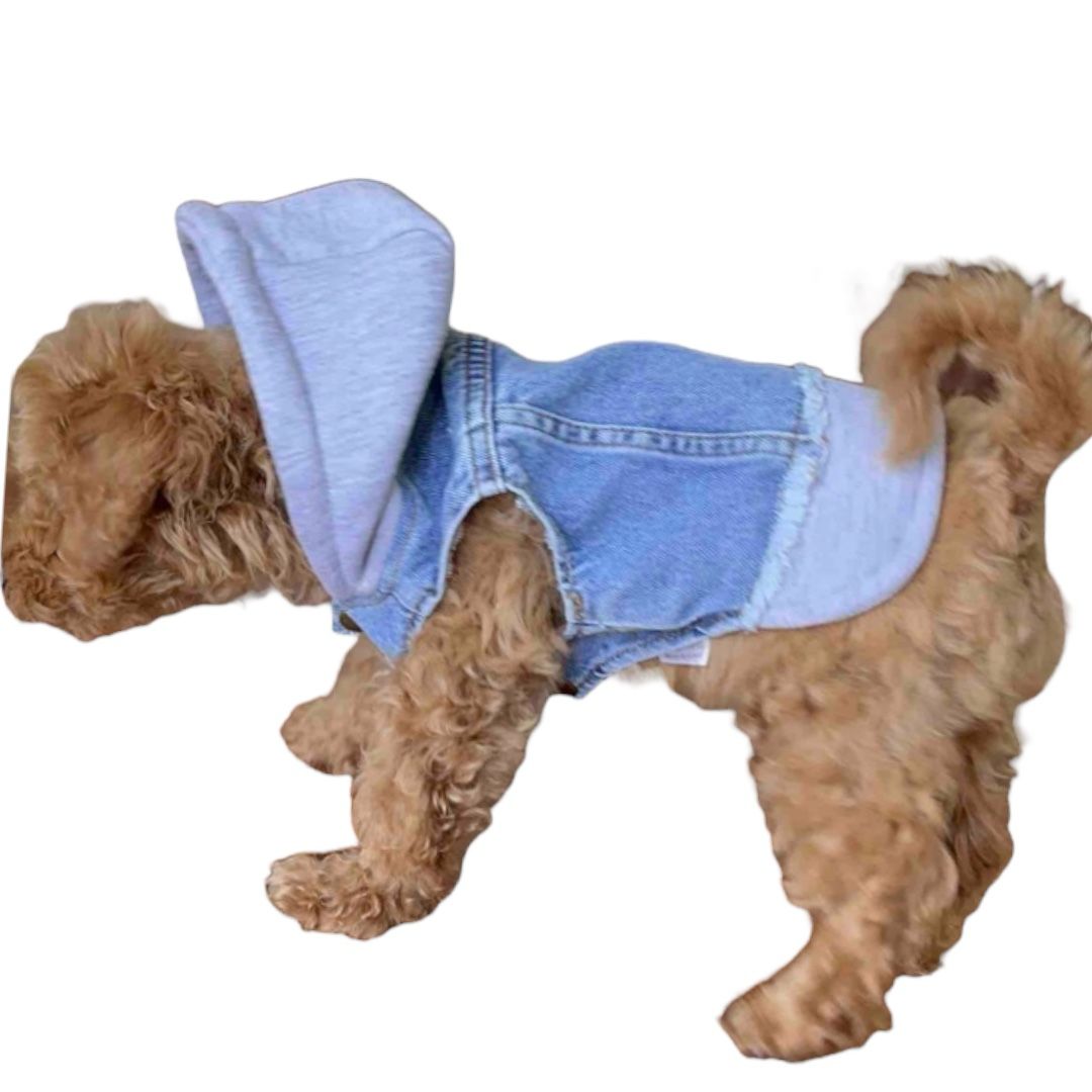 BALP Grey Jeans, Denim Jacket for Dog, Small pets, Dogs Luxury Clothes