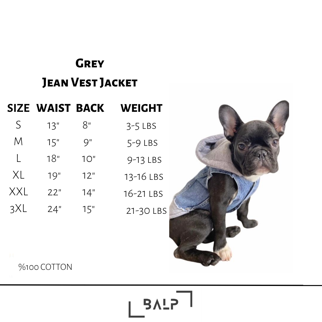 BALP Grey Jeans, Denim Jacket for Dog, Small pets, Dogs Luxury Clothes