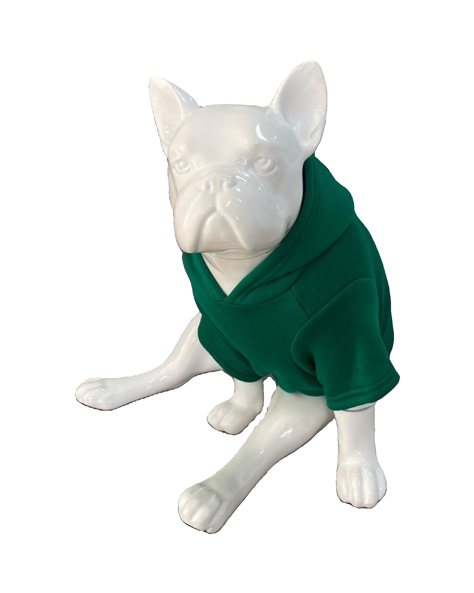 BALP Designed Green Sweatshirt Hoodie for Dogs and Cats