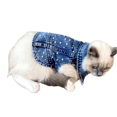 BALP Pearl Jeans, Denim Jacket for Dog, Small pets, Dogs Luxury Clothes