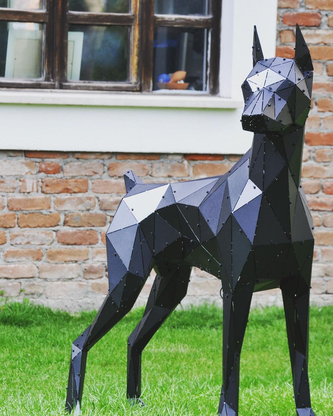 DOBERMAN BLACK X-LARGE